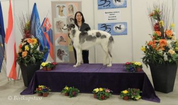 Křídlovka Bistkupstwo